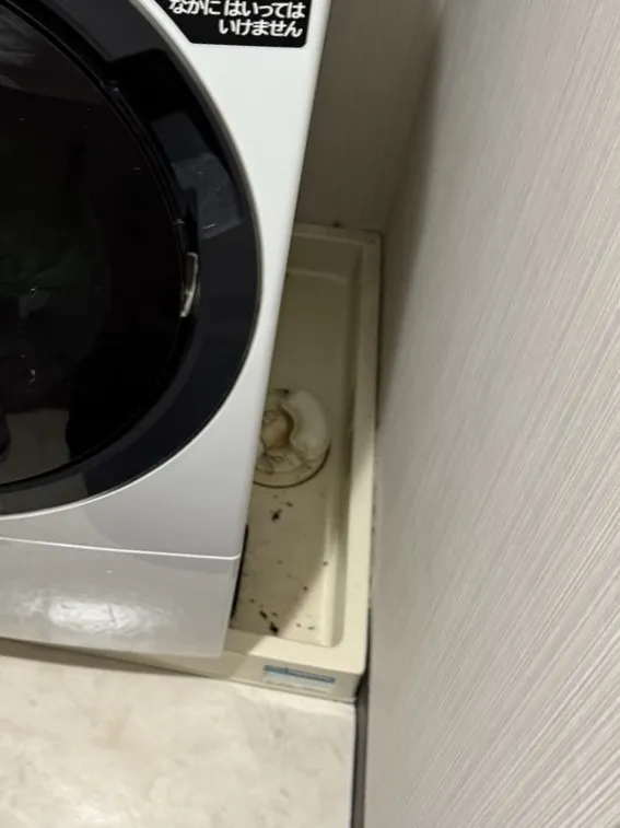 横浜市中区　洗濯排水　詰まり